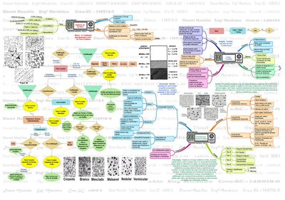 Estrutura dos Ferros Fundidos